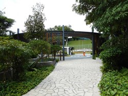 The Rainforest (D23), Condominium #188037242
